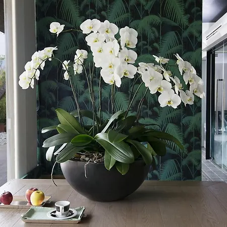 فندق&منتجع أوغسطس فندق 5*