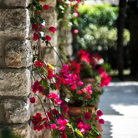 Augustus Hotel&resort 5*